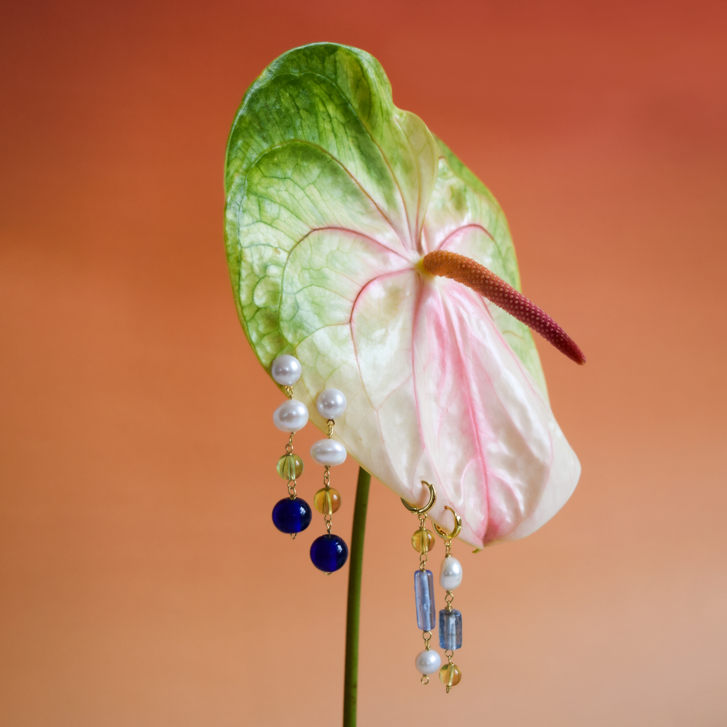 Echo Earrings